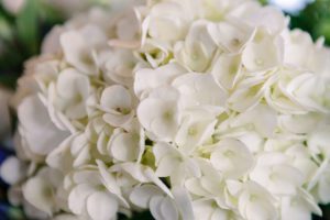 Hydrangea Wedding Flowers