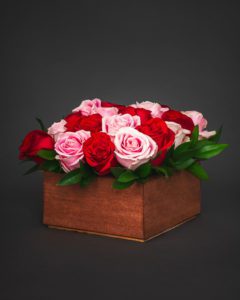 pink and red roses