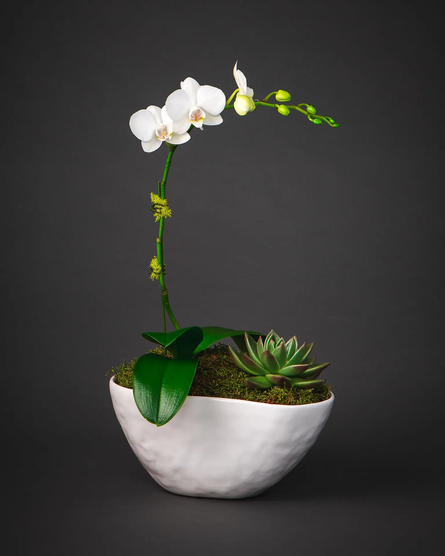 floral design