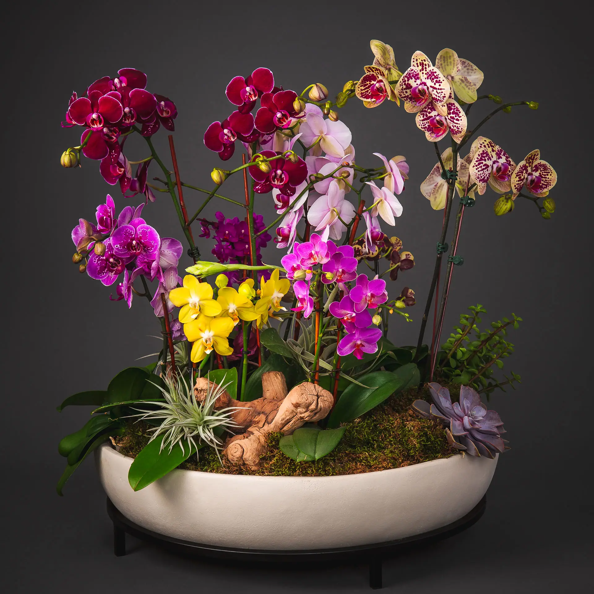 Flowering Plant Arrangement