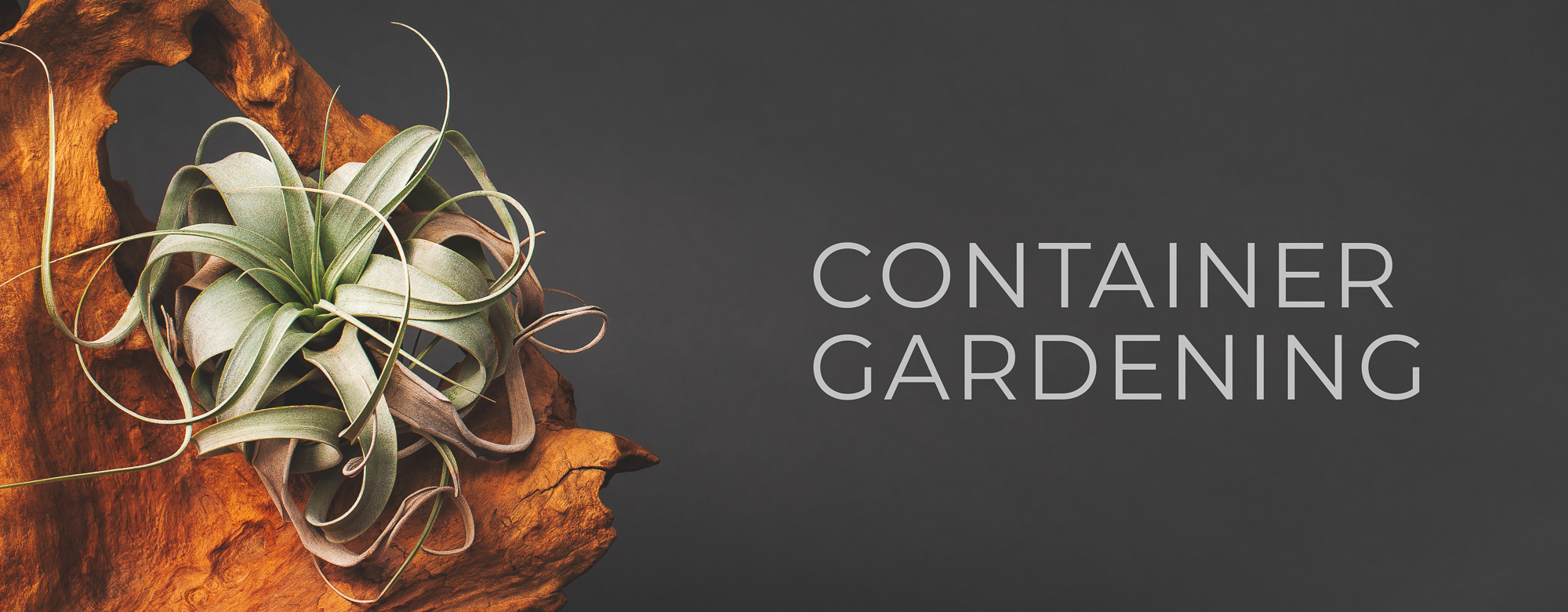 container gardening