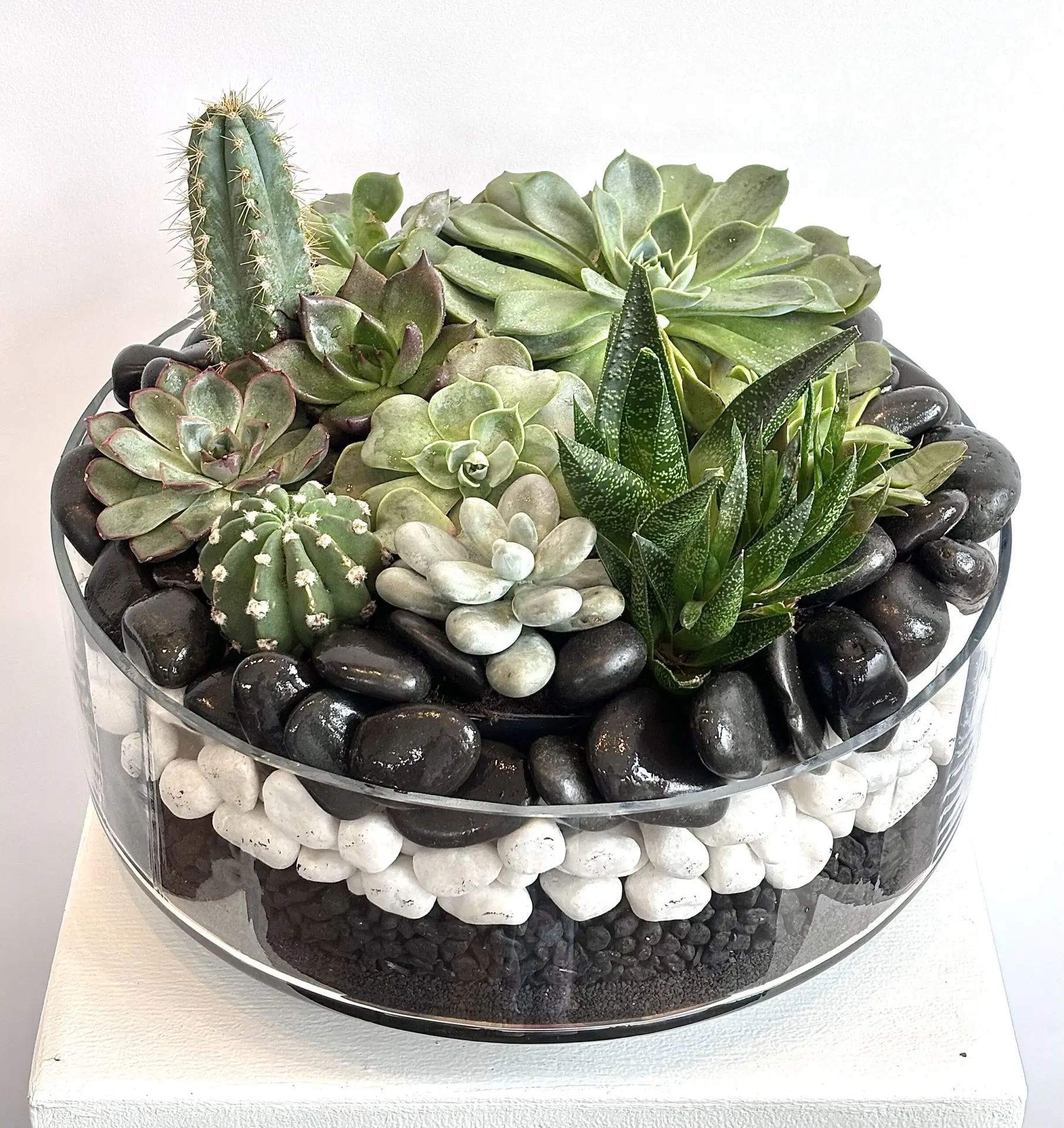 Succulent Rock Garden