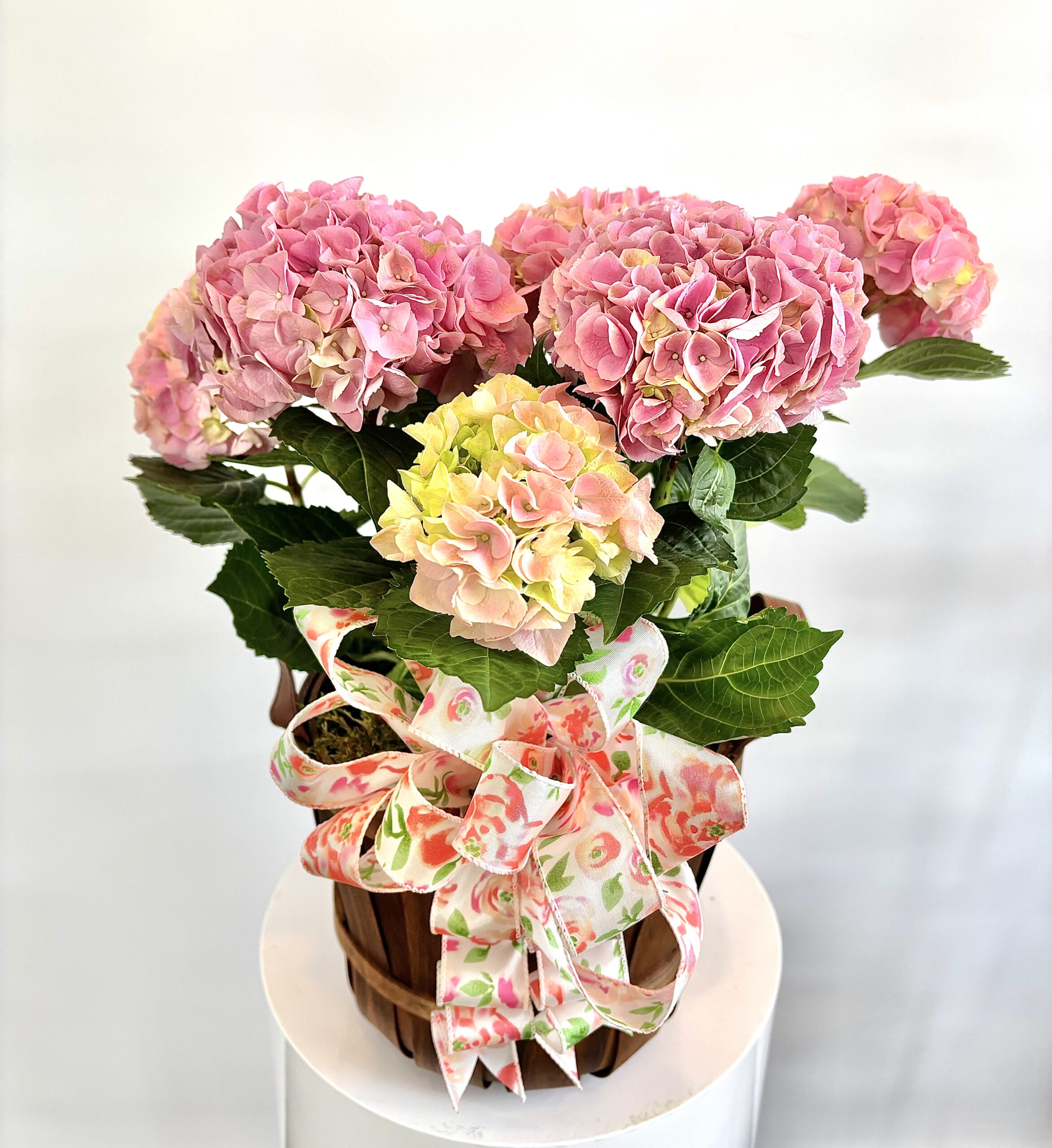 Hydrangea Basket - Image 2