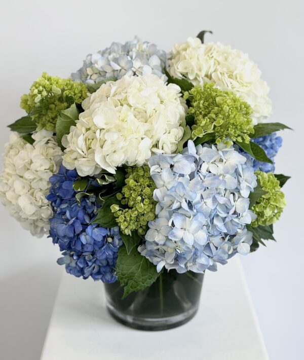 Hortensias Célestes