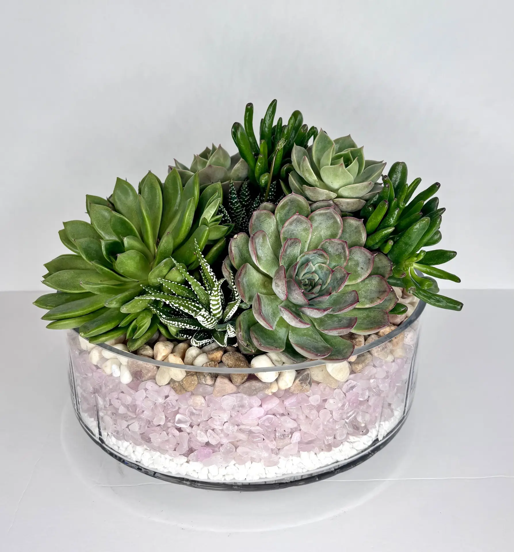 Succulent Rock Garden