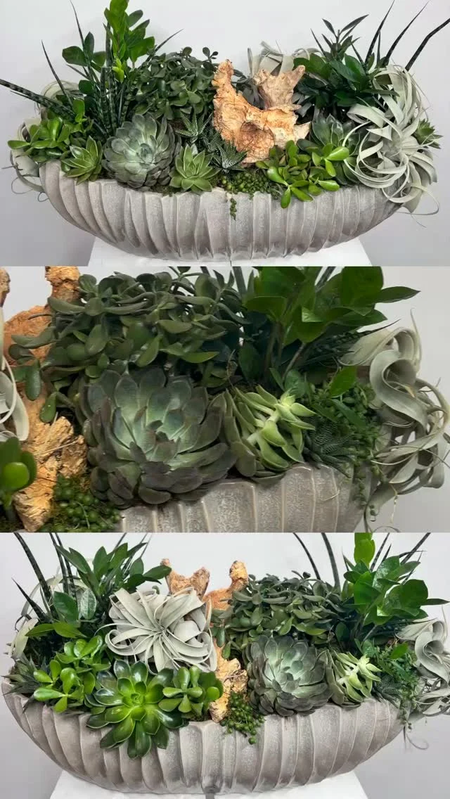 Succulent Rock Garden | Verde Floral Designs